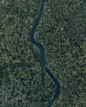 Vue a&eacute;rienne d'une route sinueuse dans la for&ecirc;t du Grand Br&ucirc;l&eacute;, Sainte-Rose, La R&eacute;union