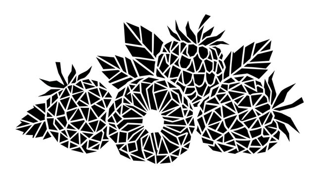 Raspberry vector black white geometric fruit illustration
