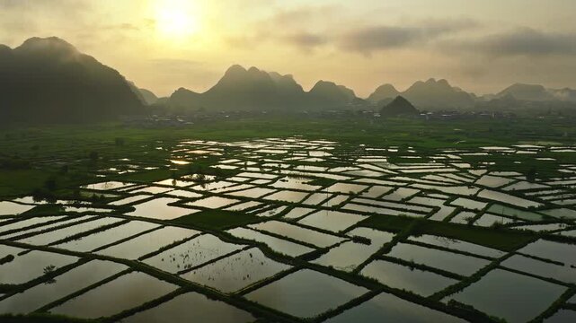 Aerial drone view of a golden sunset reflecting on the flooded green rice fields in a rural karst mountain valley in Guilin, China, showcasing the glass fields landscape in summer.
