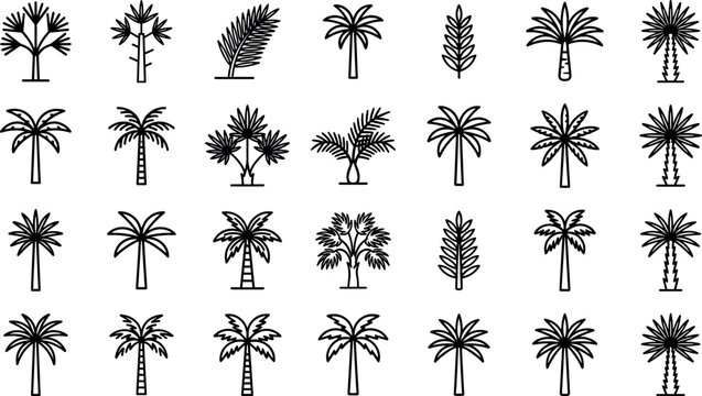 Tropical Palm Tree Icon Set Featuring Diverse Botanical Line Art Leaves in Minimalist Vector Style