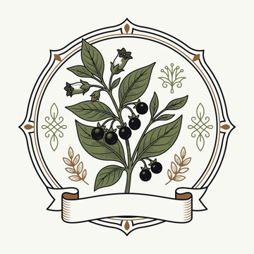 Engrave of Vintage Botanical Illustration of Belladonna Plant with Berries in Ornamental Frame. EPS Editable. Vector Illustrations.