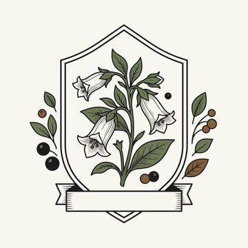 Engrave of Vintage botanical illustration of deadly nightshade belladonna plant with berries and heraldic shield frame. EPS Editable. Vector Illustrations.