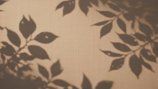 Soft foliage shadows gently move across a warm textured surface, creating an elegant autumn advertising background.