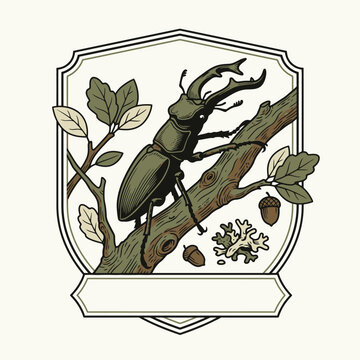 Engrave of Vintage Stag Beetle Illustration Inside Ornate Botanical Label Frame. EPS Editable. Vector Illustrations.