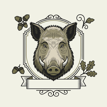 Engrave of Vintage vector illustration of a wild boar head inside an ornate decorative frame with acorns. EPS Editable. Vector Illustrations.