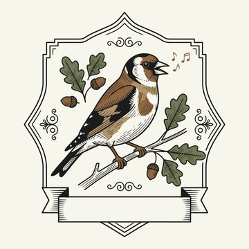 Engrave of Vintage vector illustration of a singing goldfinch perched on an oak branch with leaves and acorns inside an ornate label frame. EPS Editable. Vector Illustrations.