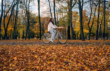 Fototapeta premium Woman riding bicycle through an autumn park.