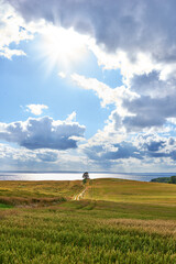 Naklejka premium Landscape, blue sky or clouds and field in nature with dirt road, sea or grass for travel. Sunshine, ocean or water and outdoor in meadow for journey, adventure and street in countryside for vacation