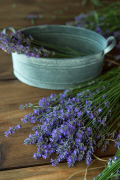 Close-up of a metal bucket of Freshly picked  lavender and lavender flowers on a wooden table