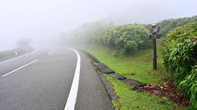 伊豆半島　濃霧の伊豆山稜線歩道　濃霧と強風の西伊豆スカイライン　古稀山の北入口
