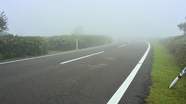伊豆半島の伊豆山稜線歩道　濃霧と強風の西伊豆スカイライン　古稀山の南入口
