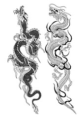 Fototapeta premium chinese dragon vector illustration