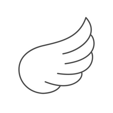 Flying wing line outline icon