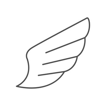 Modern bird wing line icon