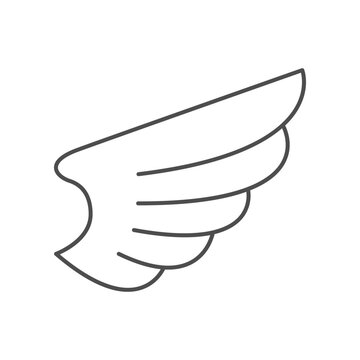 Style bird wing line icon