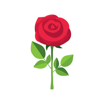 Beautiful single red rose flower with green leaves and stem isolated design element isolated on transparent background, Vector