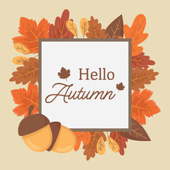 Fototapeta premium Hello Autumn greeting card with colorful fall leaves, acorns and a decorative frame in a warm flat vector style. Seasonal autumn design for postcards, posters, invitations, banners and decoration.