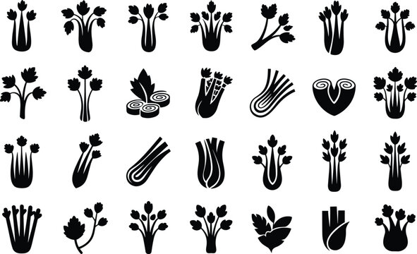 Celery plant black silhouette icon set on white background for organic food branding