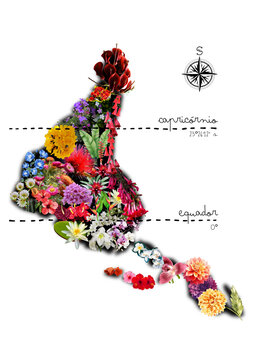 Colagem Flora Latina Invertida. Flores nativas dos pa&iacute;ses latinoamericanos e regi&otilde;es brasileiras. 
