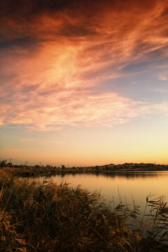 Fiery orange sunset over lake reeds