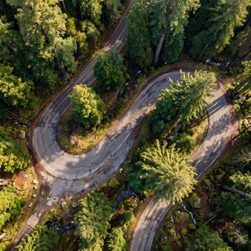 Top down aerial drone view of winding forest road surrounded by lush green pine trees with landscape mountains wilderness outdoors vertical