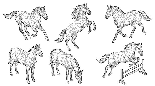 Geometric Horse Line Art Collection, Low Poly Equine Illustrations on Transparent Background