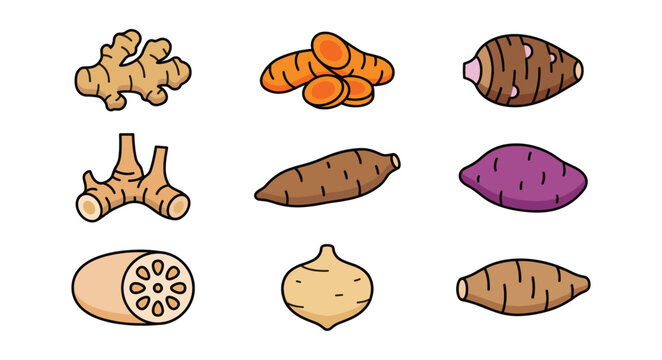 Edible Roots and Tubers Line Vector Icon Set