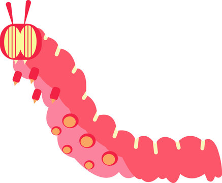 caterpillar