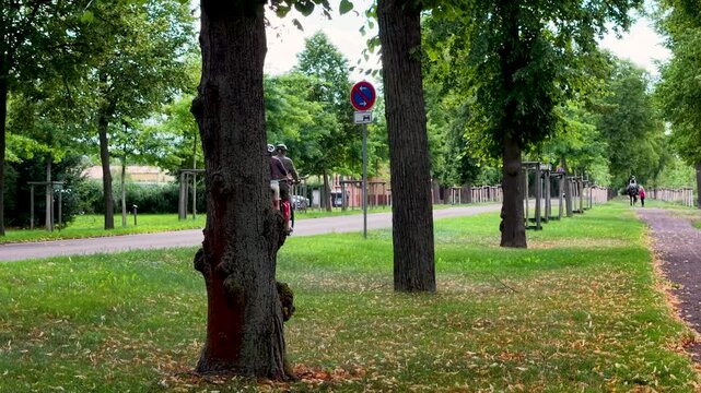 Couple senior cyclists ride quiet paved road leafy urban park bordered by mature trees and green lawns. Summer video shows active mobility, recreation, cycling, nature, transport, and city life