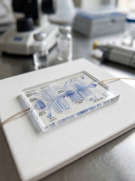 Microfluidic Biochip Device With Blue Fluid Microchannels On Lab Stand