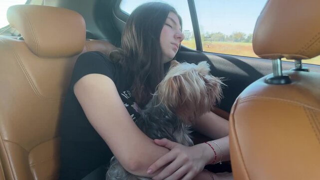 Serene teenage girl and her adorable yorkshire terrier sleeping together in the backseat of a car