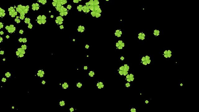 Falling Green Four-Leaf Clovers Animation on Transparent Alpha Background