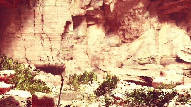 In a deep canyon, tall rock walls rise steeply on either side. Sparse green plants grow at the base, with sunlight filtering through the narrow opening above.