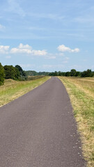 Fototapeta premium Straight asphalt road green grass fields blue sky white clouds sunny day rural landscape horizon cycling path open space horizon vanishing point countryside view