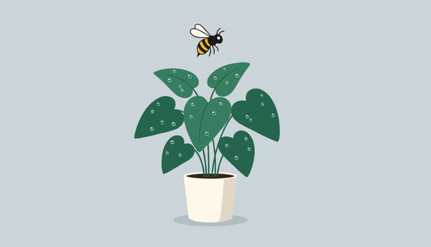Busy bee hovers above a vibrant green potted plant with delicate water droplets on the leaves against a light gray background.