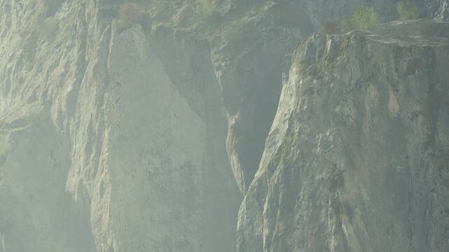 Fog covers the valley below the tall cliffs at sunrise. The rocky surface shows patterns shaped by nature. Trees are visible at the top of the cliffs.