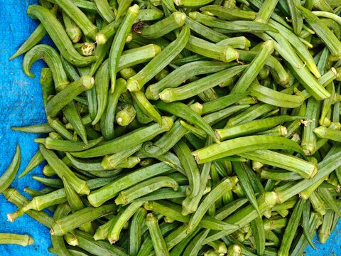 Pile of fresh green okra pods on a blue tarpaulin at a vegetable market. Overhead flat lay of raw ladyfinger, a staple vegetable in Indian and Southern cooking.