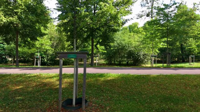 Moving video shows empty paved road through leafy urban park with supported young trees and dense summer greenery. Side view captures calm transport route, landscaping, mobility, nature, and ecology