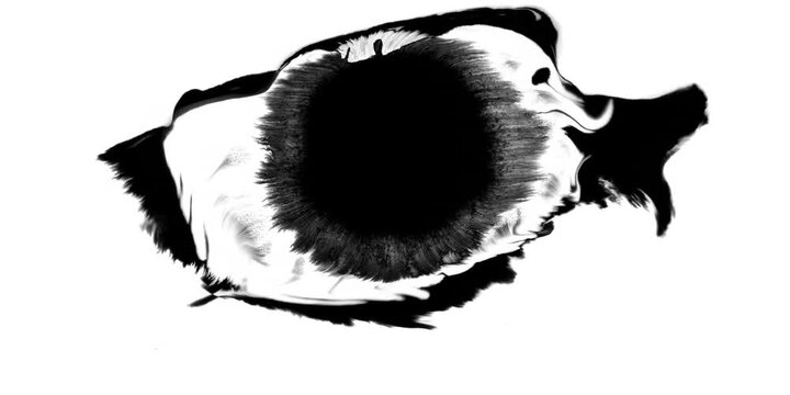 Black ink brush paint stroke transition Brush leak spreads over screen liquid splashing, drops, strokes, stain grunge. stencil frame drip spray, liquid graffiti ink splatter background, watercolor 4K