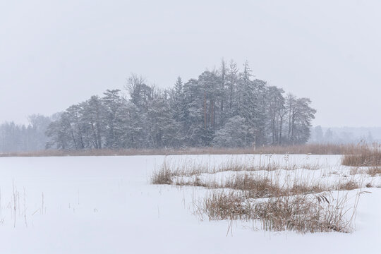 Idyllische verschneite Waldinsel inmitten einer friedlichen winterlichen Seenlandschaft
