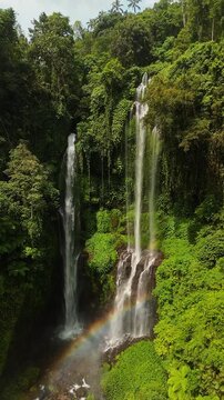 Aerial view of Sekumpul Waterfall cascading through dense tropical jungle with a rainbow at the base in Kecamatan Sawan, Bali, Indonesia.