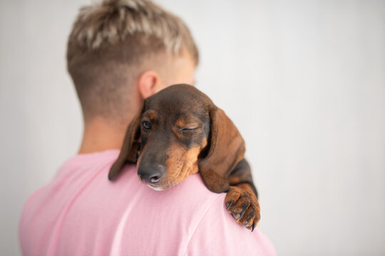 Young man holds dachshund dog on shoulder in casual indoor setting