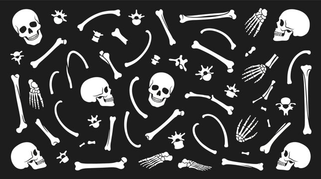 Halloween Skull Bones Tools Scattered Dark Background.