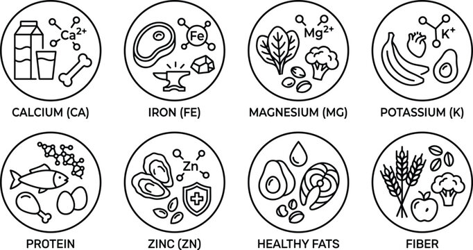 Minimalist linear mineral and nutrient food source icons set featuring calcium iron magnesium potassium protein zinc healthy fats fiber isolated on white