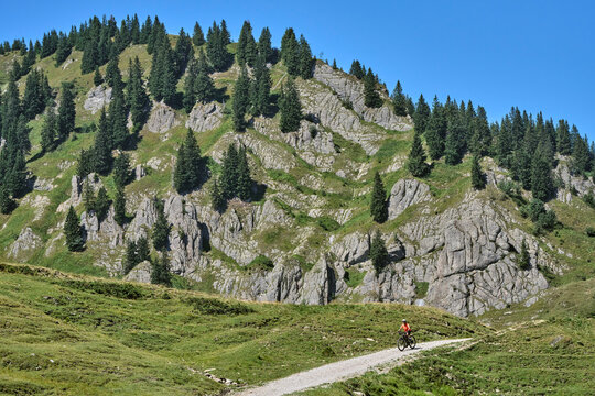 Attractive senior woman riding an electric bicycle on a mountain biking tour through sunny alpine meadows and scenic mountain landscapes above Balderschwang, Allg&auml;u Alps, Bavaria, Germany.