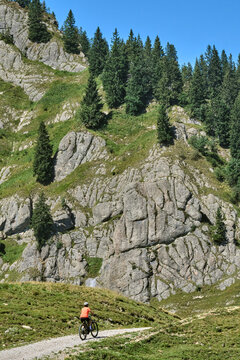 Attractive senior woman riding an electric bicycle on a mountain biking tour through sunny alpine meadows and scenic mountain landscapes above Balderschwang, Allg&auml;u Alps, Bavaria, Germany.