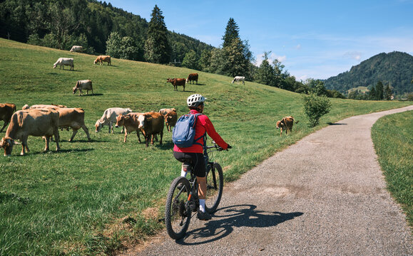 Attractive senior woman riding an electric bicycle on a mountain biking tour through sunny alpine meadows and scenic mountain landscapes above Balderschwang, Allg&auml;u Alps, Bavaria, Germany.