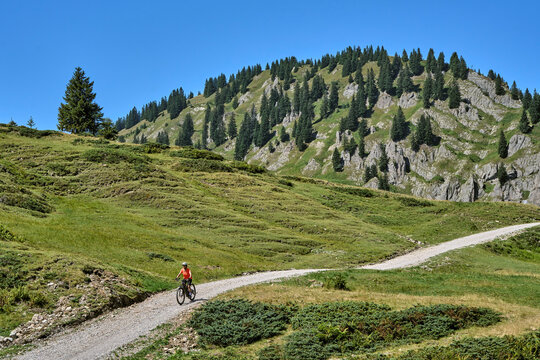 Attractive senior woman riding an electric bicycle on a mountain biking tour through sunny alpine meadows and scenic mountain landscapes above Balderschwang, Allg&auml;u Alps, Bavaria, Germany.
