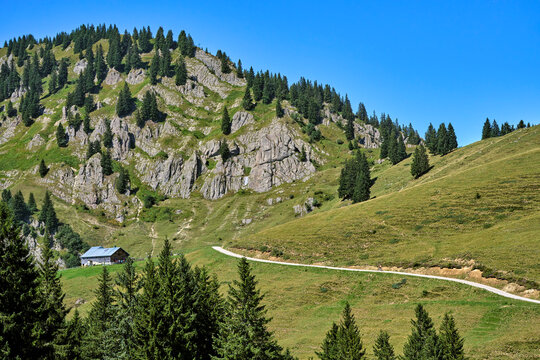 Attractive senior woman riding an electric bicycle on a mountain biking tour through sunny alpine meadows and scenic mountain landscapes above Balderschwang, Allg&auml;u Alps, Bavaria, Germany.