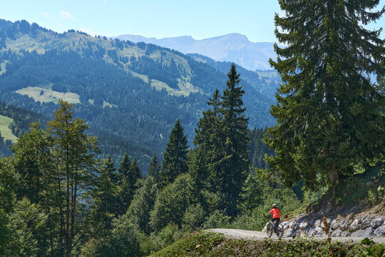 Attractive senior woman riding an electric bicycle on a mountain biking tour through sunny alpine meadows and scenic mountain landscapes above Balderschwang, Allg&auml;u Alps, Bavaria, Germany.